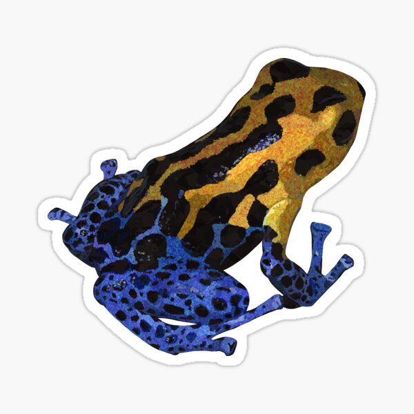 Item preview, Blue and Orange Dart Frog designed and sold by sarcohpagus.