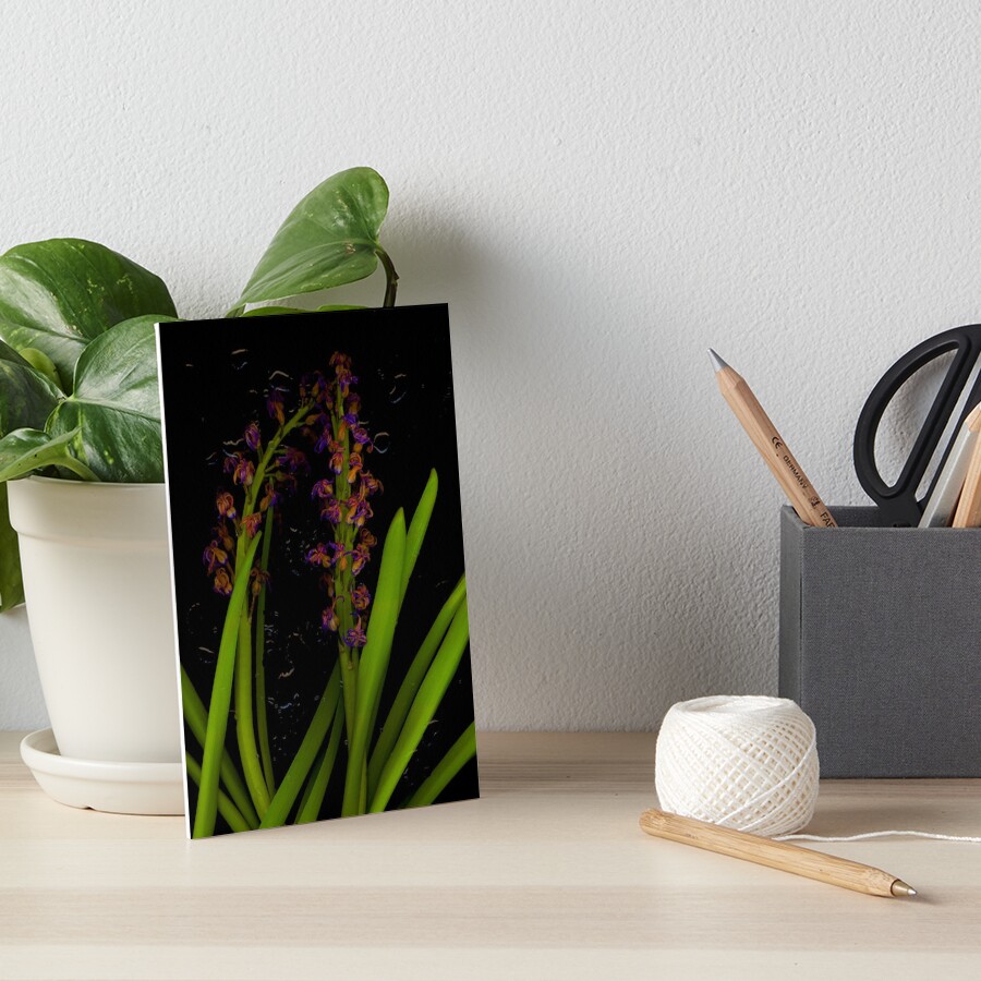 Item preview, Art Board Print designed and sold by LindasPhotoArt.