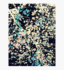 Nature Pattern # 5 - Birch 2 (Blue) Photographic Print