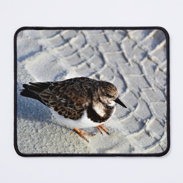 Item preview,  Are You There Sam? designed and sold by banditandkoko.