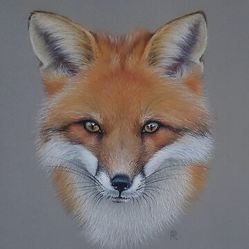 Artwork thumbnail, Fox portrait by Penguland