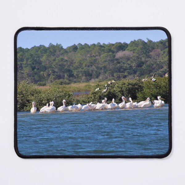 Flock of White Pelicans on a Sandbar Mouse Pad