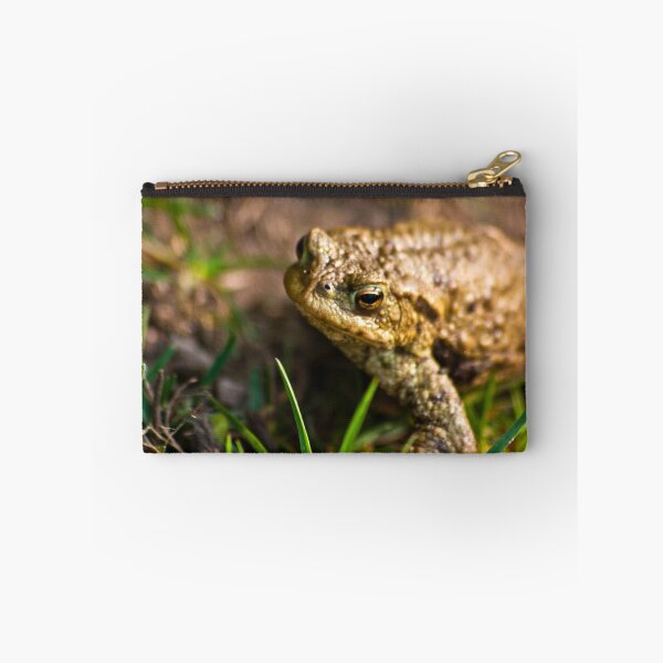 Aperçu de l'œuvre Toad of Toad Hall créée et vendue par Trevor Kersley.