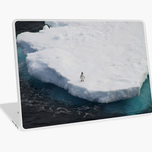The Lone Penguin Laptop Skin