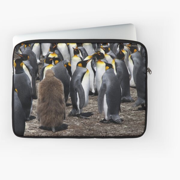 Stranger in a Strange Land Laptop Sleeve
