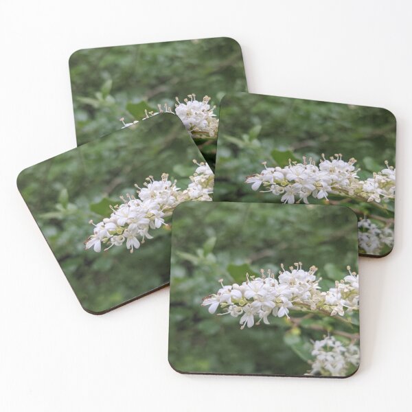 Item preview, Tiny White Tree Flowers With an Ant Photographic Image designed and sold by AustaArt.