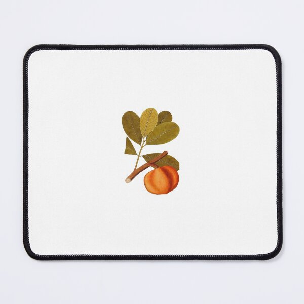 Item preview, Orange Mammee Apple 1780 designed and sold by BelleZeare.