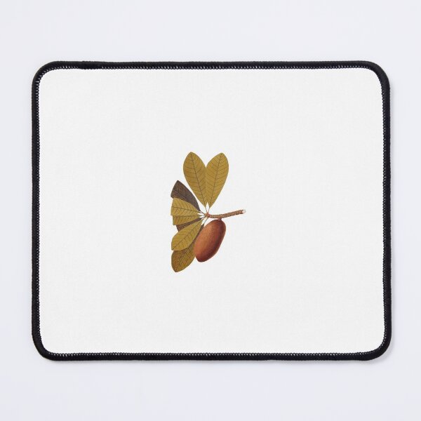 Item preview, Sapodilla Fruit 1780 designed and sold by BelleZeare.