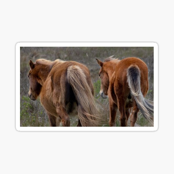 Item preview, Wild Horses Paired Together designed and sold by nbrandsberg.