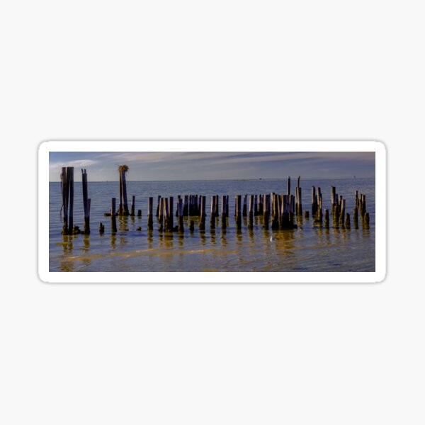 Item preview, Cape Charles Pilings designed and sold by nbrandsberg.