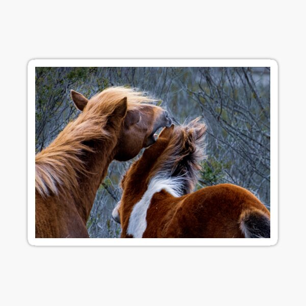 Item preview, One Upmanship Wild Horses Fighting designed and sold by nbrandsberg.