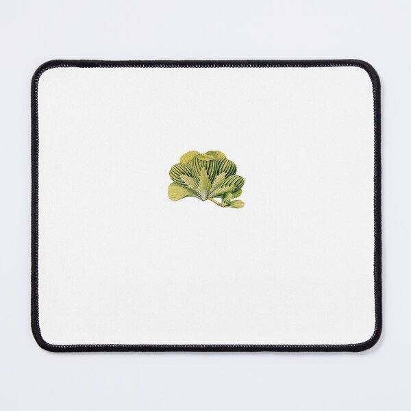 Item preview, Green Water Lettuce 1780 designed and sold by BelleZeare.