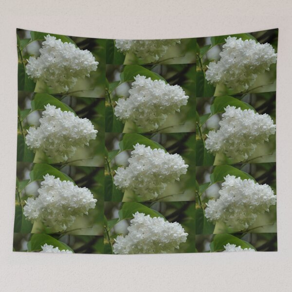 Item preview, White Lilac designed and sold by lynn carter.