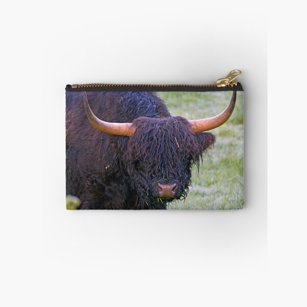 Artikelvorschau, Highland Bull  entworfen und verkauft von Randall Ingalls.