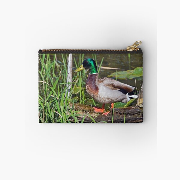 Aperçu de l'œuvre Mallard Drake on a Log créée et vendue par Randall Ingalls.