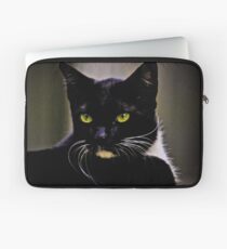 Mr Macdonald part II: On Featured: Cats-and-dogs Group Laptop Sleeve