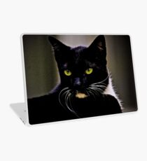 Mr Macdonald part II: On Featured: Cats-and-dogs Group Laptop Skin
