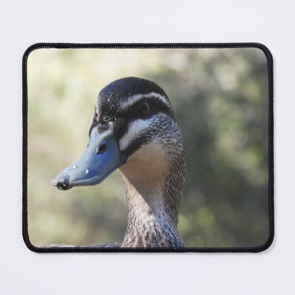 Item preview, Looking at You designed and sold by Harrison Lucas.