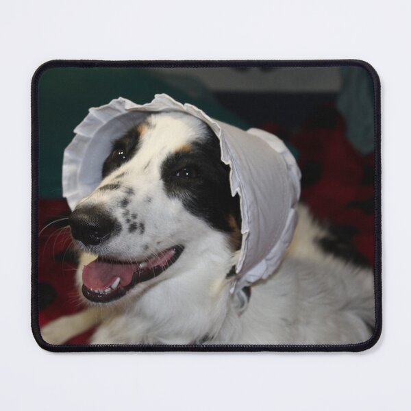 Item preview, Skipper Being a Pilgrim for Thanksgiving designed and sold by banditandkoko.