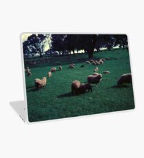 Sheep on One Tree Hill Laptop Skin
