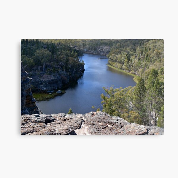 Dunns Swamp Lookout Metal Print