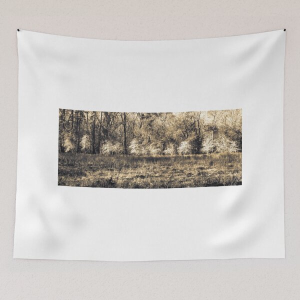 Item preview, Donnelly Preserve Back Lit Trees designed and sold by nbrandsberg.