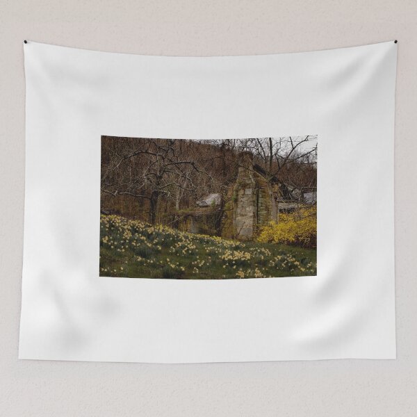 Item preview, Apple Orchard Valley Ruins designed and sold by nbrandsberg.