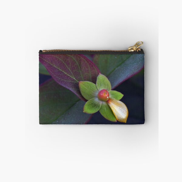 Artikelvorschau, Natures Perfection entworfen und verkauft von Linda Cutche.