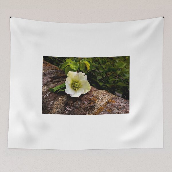 Item preview, Old City Cemetery Lenten Rose designed and sold by nbrandsberg.