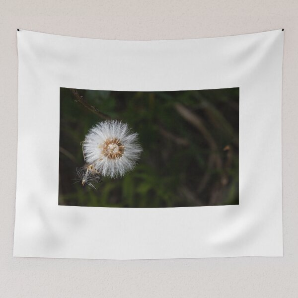 Item preview, Alpine Dandelion Gone to Seed designed and sold by nbrandsberg.