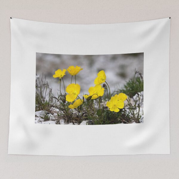 Item preview, Alpine Rhaeticum Poppy designed and sold by nbrandsberg.