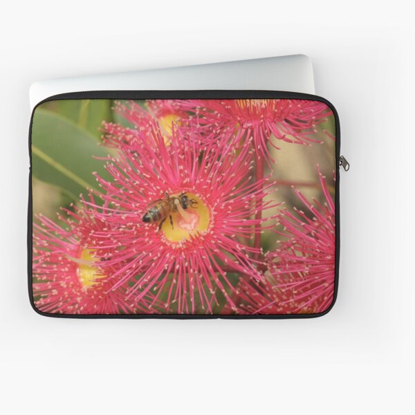 Red-flowering Gum Flower with Bee Laptop Sleeve