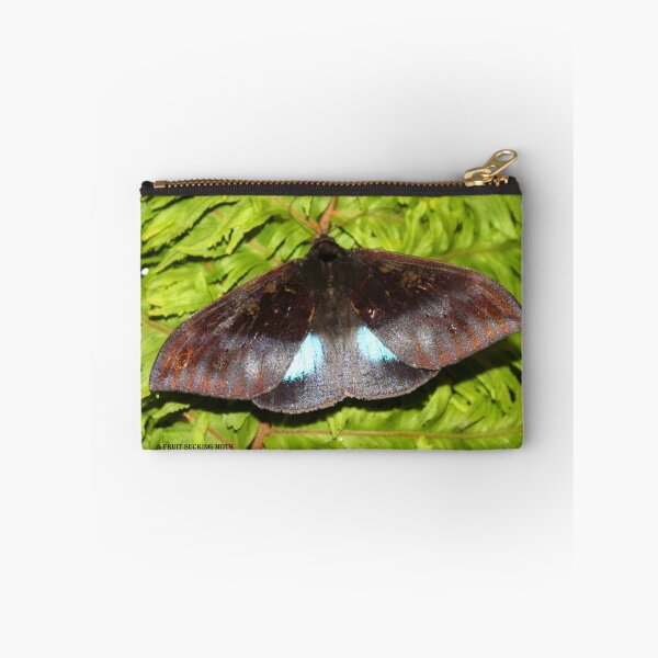 Item preview, A colourful moth designed and sold by robmac.