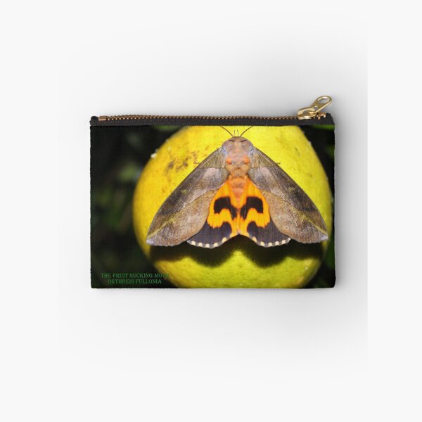 Item preview, Fruit sucking Moth designed and sold by robmac.