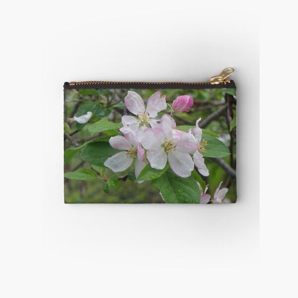 Item preview, Potentially Apple designed and sold by Bob Hardy.