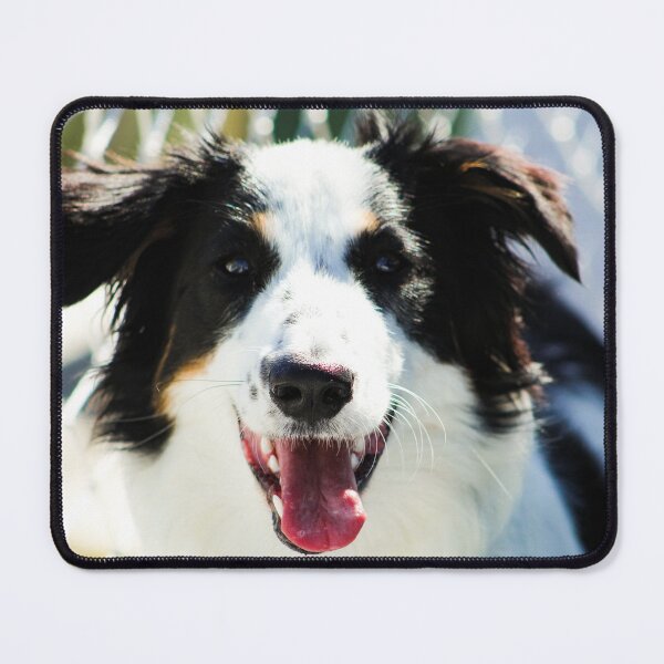 Item preview, Australian Shepherd on Her Boat designed and sold by banditandkoko.
