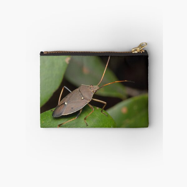 Item preview, Two-spotted Gum Tree Shield Bug - Poecilometis parilis designed and sold by Andrew Trevor-Jones.