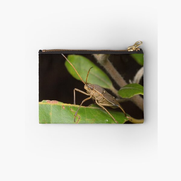 Item preview, Two-spotted Gum Tree Shield Bug - Poecilometis parilis designed and sold by Andrew Trevor-Jones.