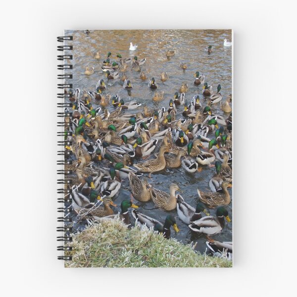 Item preview, Duck Frenzy designed and sold by AnnDixon.