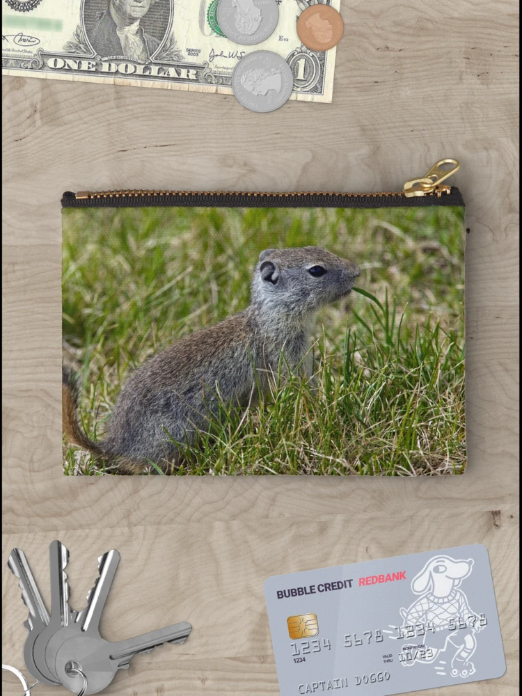 Thumbnail 3 of 4, Zipper Pouch, Ground Squirrel designed and sold by Randall Ingalls.