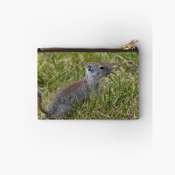 Item preview, Ground Squirrel designed and sold by Randall Ingalls.