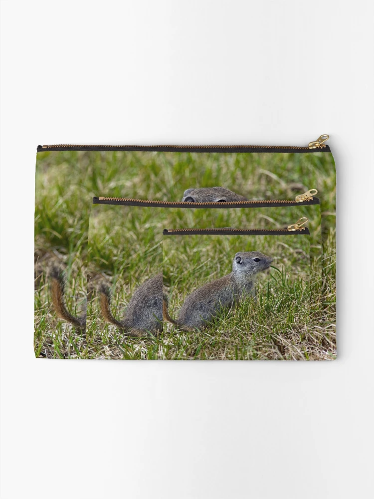 Thumbnail 2 of 4, Zipper Pouch, Ground Squirrel designed and sold by Randall Ingalls.