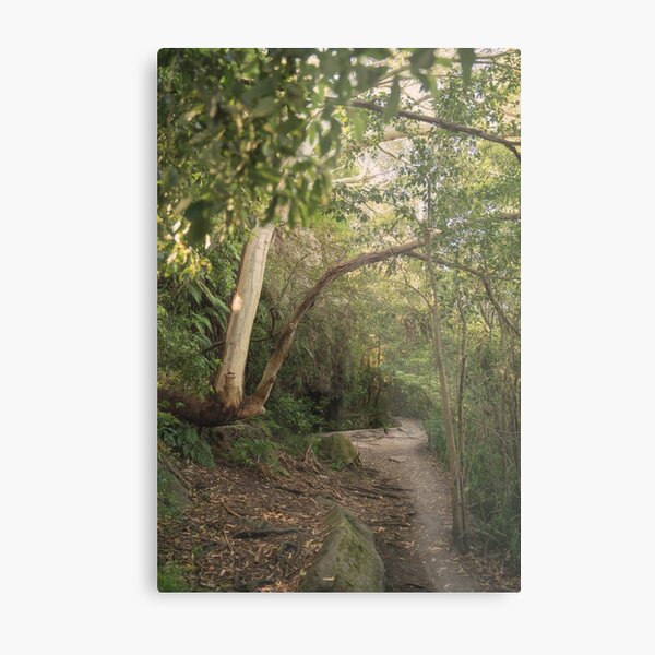 Item preview, Bushwalk designed and sold by yolanda.