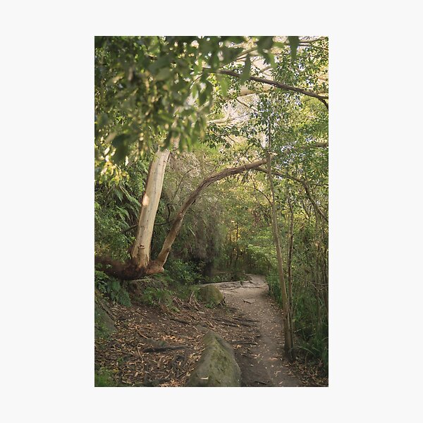 Item preview, Bushwalk designed and sold by yolanda.