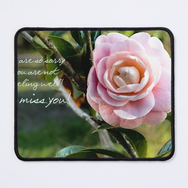 Item preview, The Pink Camelia Get Well designed and sold by nbrandsberg.