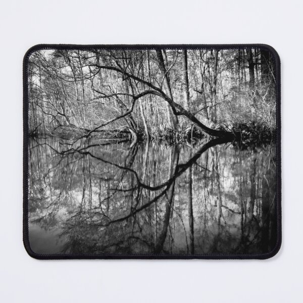 Item preview, Santee River Twin Branch Reflections designed and sold by nbrandsberg.