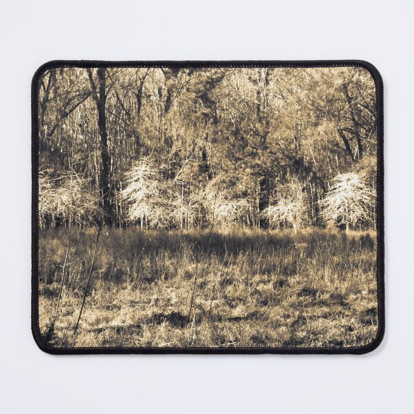 Item preview, Donnelly Preserve Back Lit Trees designed and sold by nbrandsberg.