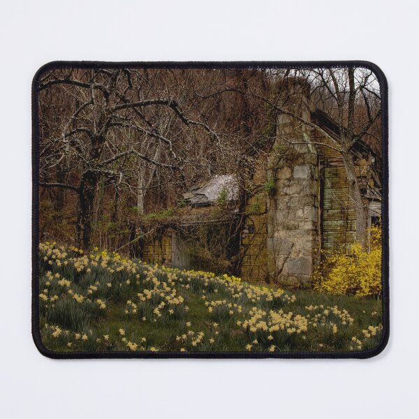 Item preview, Apple Orchard Valley Ruins designed and sold by nbrandsberg.