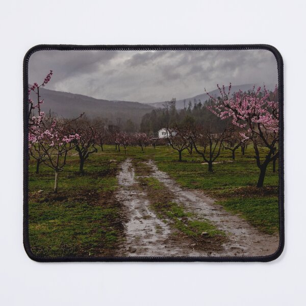 Item preview, Gross Orchard in Spring designed and sold by nbrandsberg.