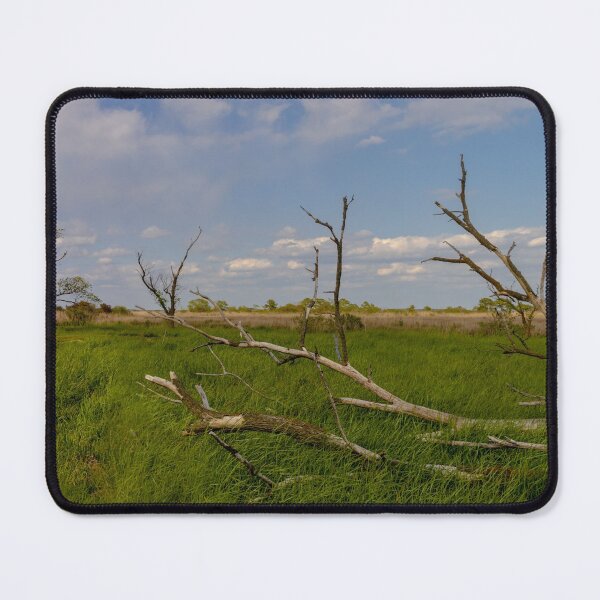 Item preview, Old Virginia Coastal Marshlands designed and sold by nbrandsberg.